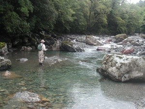This is how all rivers in New Zealand should be. Fresh, clean and unpolluted.