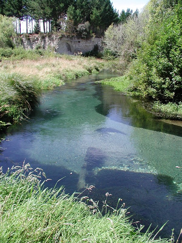 An example of a clean river in the middle of rime diary country prior to the dairy boom.