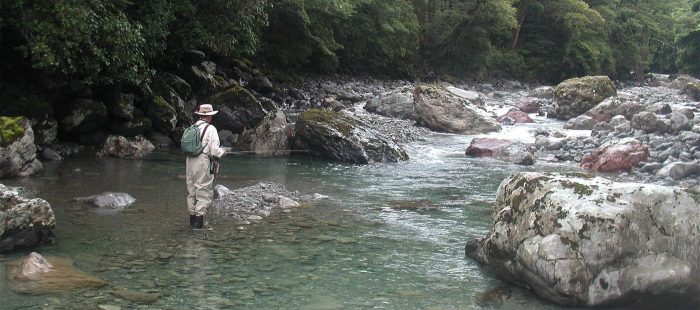 This is how all rivers in New Zealand should be. Fresh, clean and unpolluted.